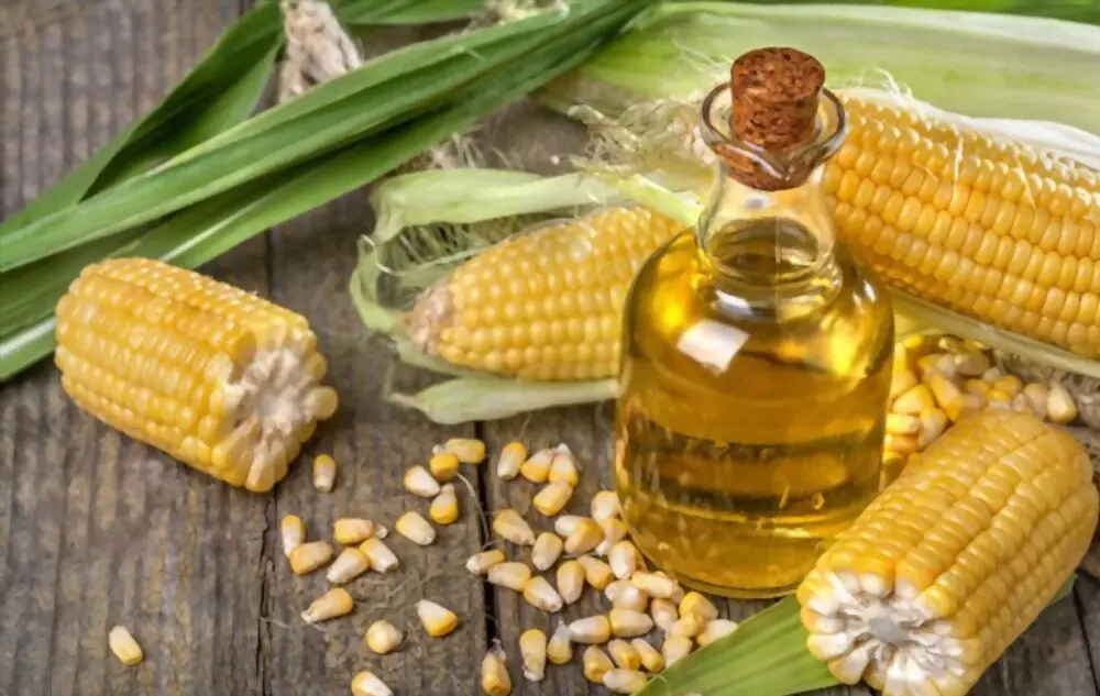 sustituto del aceite de maíz